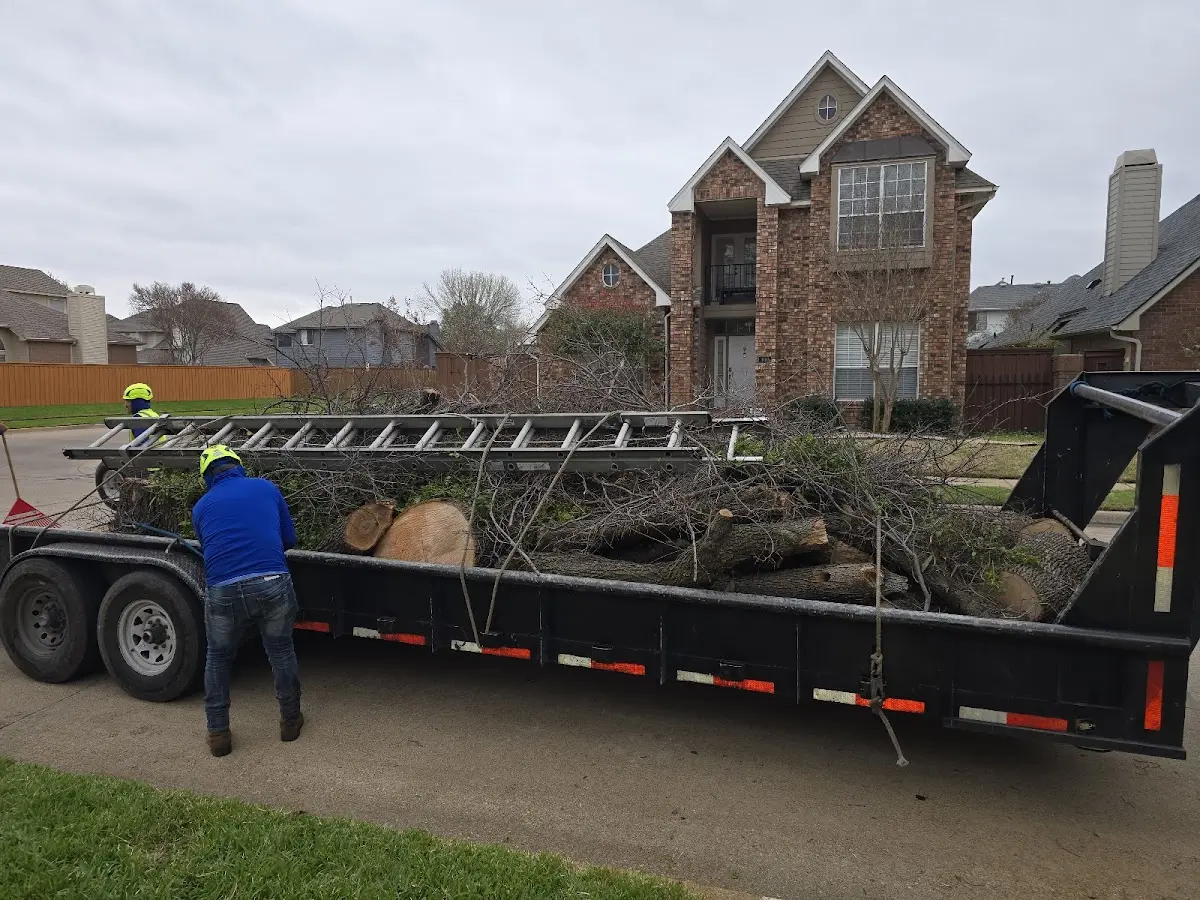 Expert Lot Clearing with proper safety equipment in Belfast